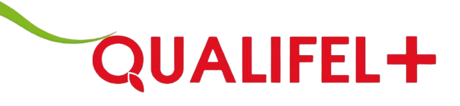 Logo Qualifel Plus
